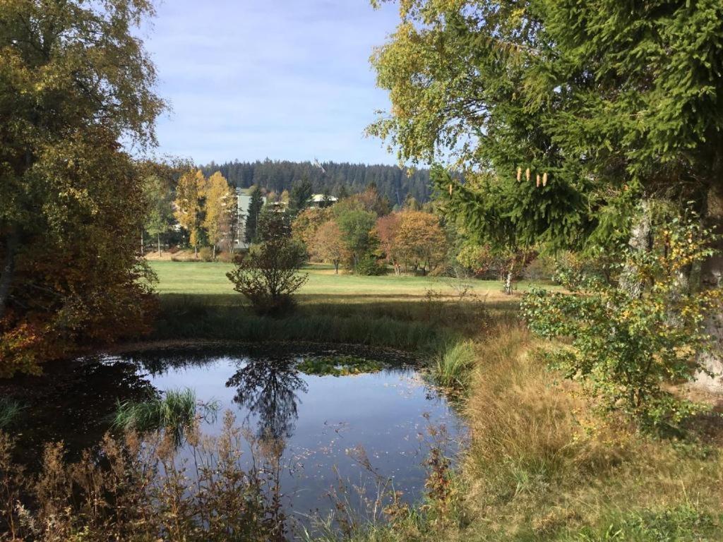 Apartment 358 Mit Sauna, Schwimmbad Und Fitness Schönwalde Exteriér fotografie